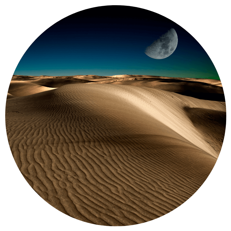 Digital Marketing Workshops & Mentoring Digital Marketing Workshops & Mentoring